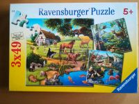 Ravensburger Puzzle-Set 3 x 49 Teile Wald-/Zoo-/Haustiere Hessen - Philippsthal (Werra) Vorschau