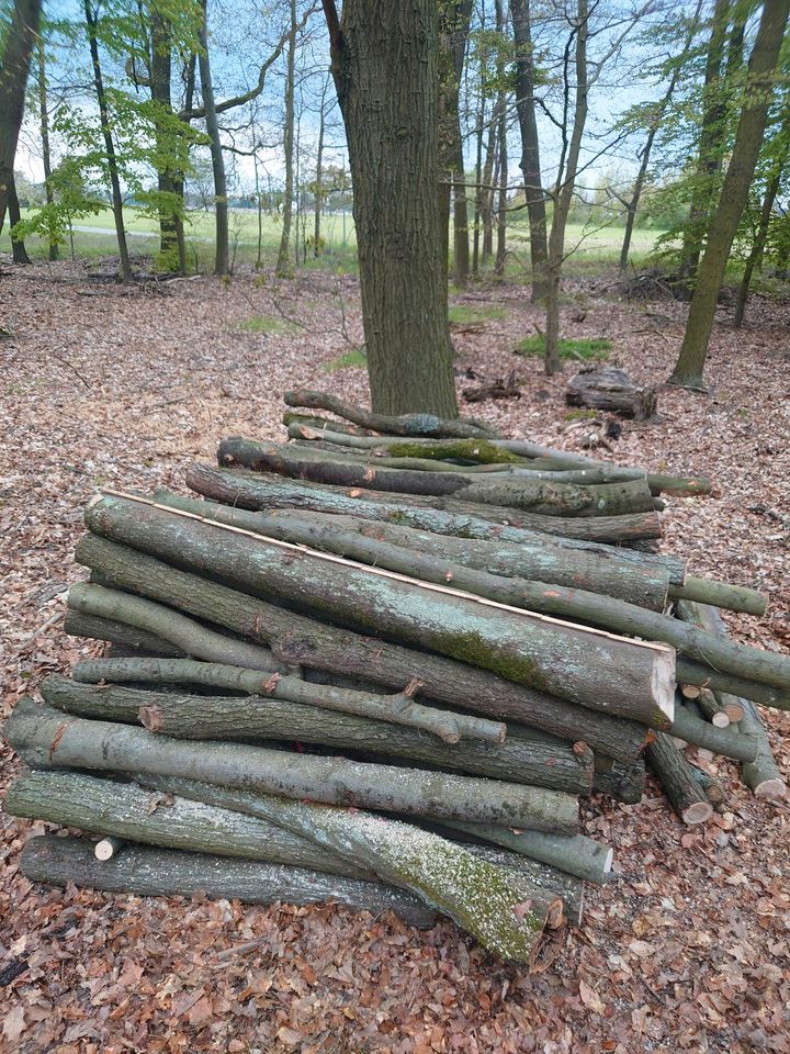 Brennholz Eiche / Buche **Selbstabholung** in Peitz