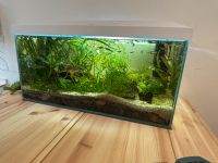 Aquarium 60l komplett Baden-Württemberg - Aalen Vorschau