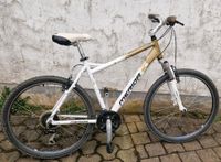 Hardtail Mountainbike Damen Nordrhein-Westfalen - Schmallenberg Vorschau