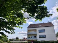KM 320 € Apartment 1 Zimmer 41 Qm Wissen Zentrum zu vemieten Rheinland-Pfalz - Wissen Vorschau