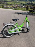 Puky Kinderfahrrad 18 Zoll Bayern - Fischen Vorschau