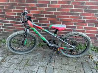 Cube 20 Zoll Kinderfahrrad K 20 Leipzig - Engelsdorf Vorschau