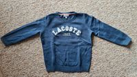 LACOSTE Pullover Gr. 116 Hessen - Wanfried Vorschau