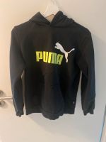 Puma Pullover Unisex Verschiedene Farben (Schwarz Grün und Grau) Baden-Württemberg - Bretten Vorschau