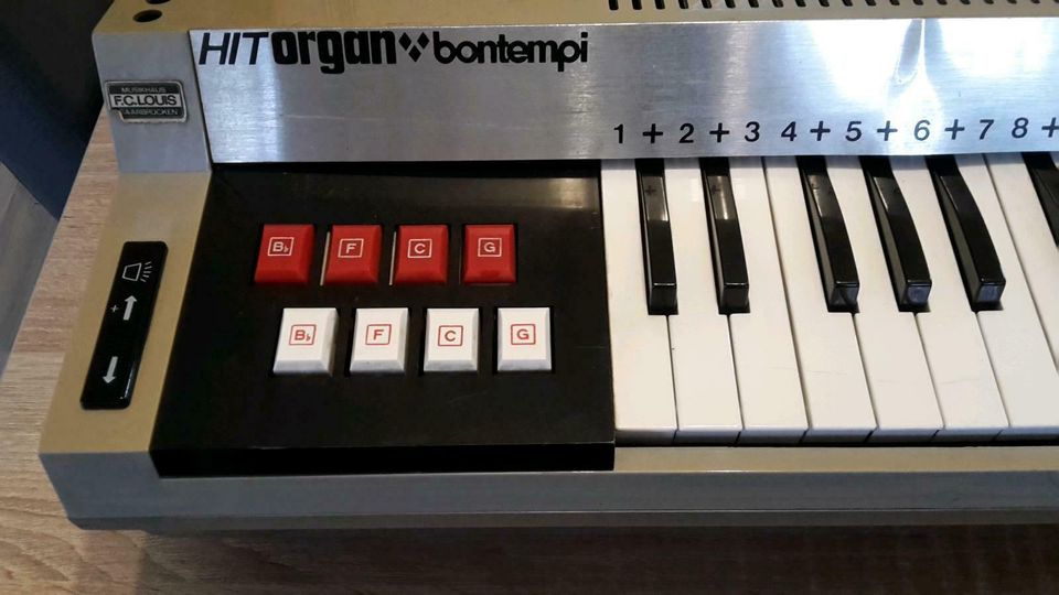 Orgel Bontempi Heimorgel in Saarbrücken
