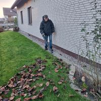 Gartenpflege Grünschnitt Gartenarbeiten Rasenmähen Hecken Nordrhein-Westfalen - Lügde Vorschau