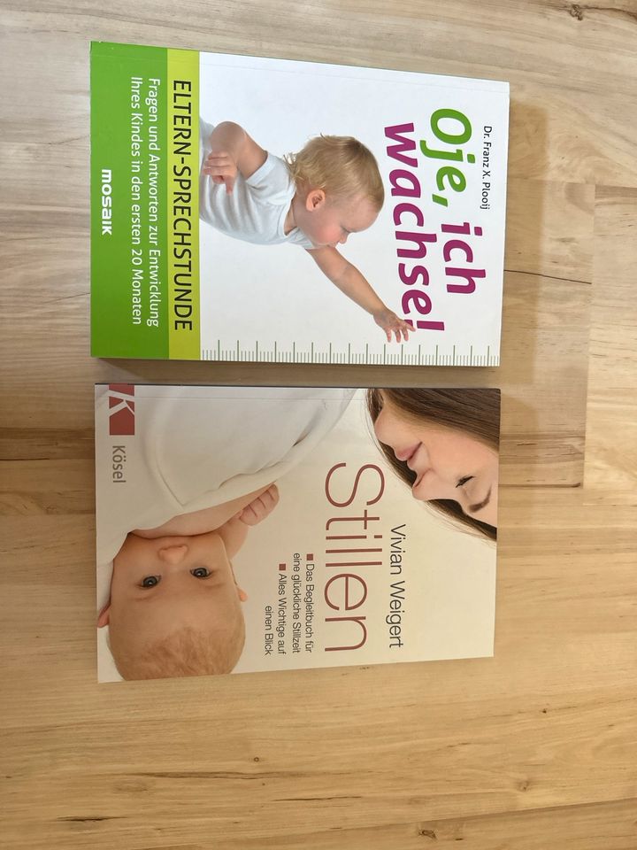 Bücher Kind Baby Stillen in Wiesbaden