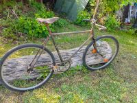 Diamant Mifa Oldtimer Fahrrad Brandenburg - Glienicke/Nordbahn Vorschau