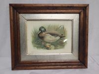 Kunstdruck Anas Boschas Mallard Ente Entenbild Kunst Druck Rheinland-Pfalz - Winkel (Eifel) Vorschau