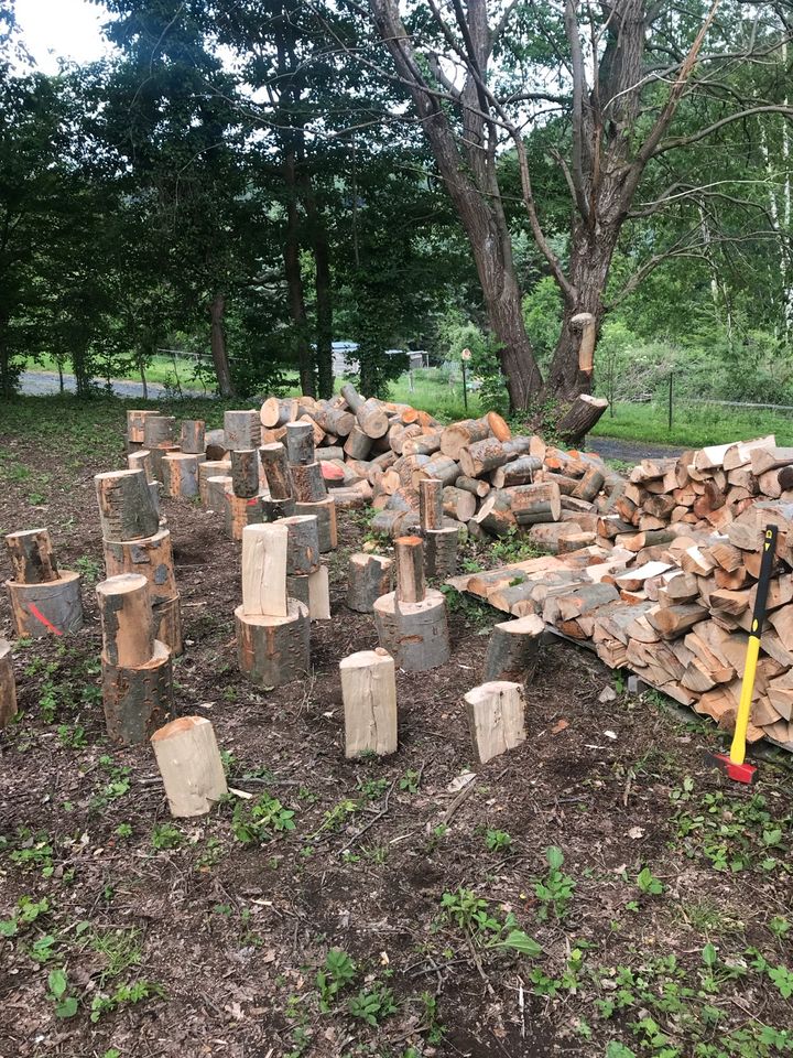 Brennholz FRISCH Buche Eiche Laubholz mix  geschnitten/ gespalten in Hillscheid