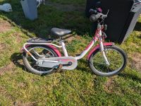 Kinderfahrrad 18Zoll Brandenburg - Guben Vorschau