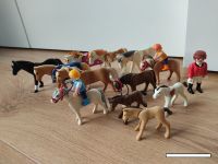 PLAYMOBIL Pferde Dortmund - Derne Vorschau