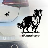 Auto Aufkleber | Border Collie | Größen | Farben | Wunschname Köln - Köln Merheim Vorschau