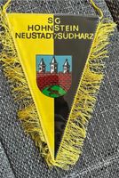 Wimpel Fußball SG Hohnstein Neustadt /Südharz DDR  25x16 cm Thüringen - Nordhausen Vorschau