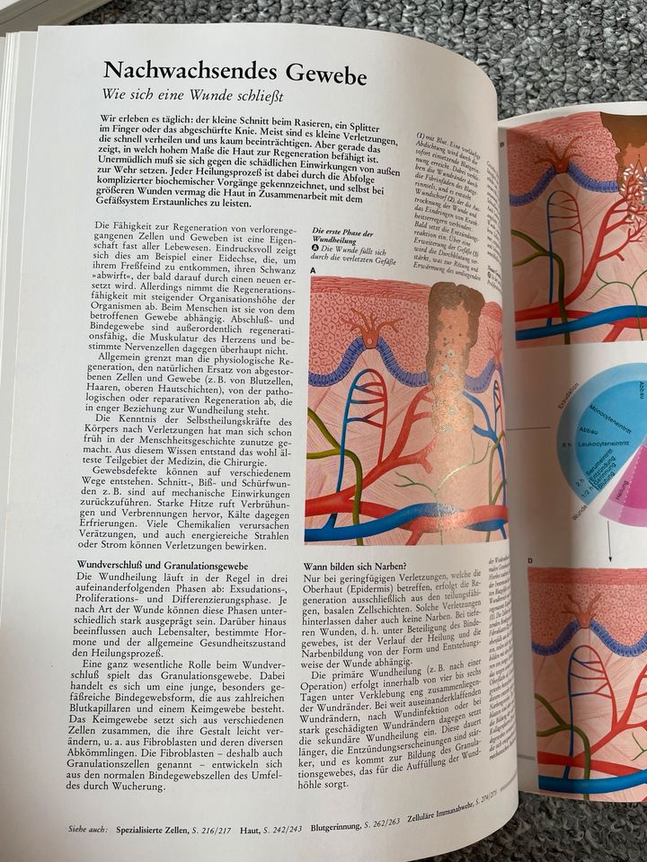 Faszination Natur und Technik ADAC Verlag 1996 in Jüterbog