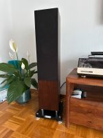 Tannoy revolution xt 6f Walnuss Baden-Württemberg - Steinheim Vorschau