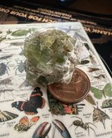 Olivin / Peridot aus mineralien Edelstein Sammlung Auflösung Bonn - Brüser Berg Vorschau