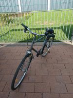Fahrrad im guten Zustand Nordrhein-Westfalen - Bornheim Vorschau
