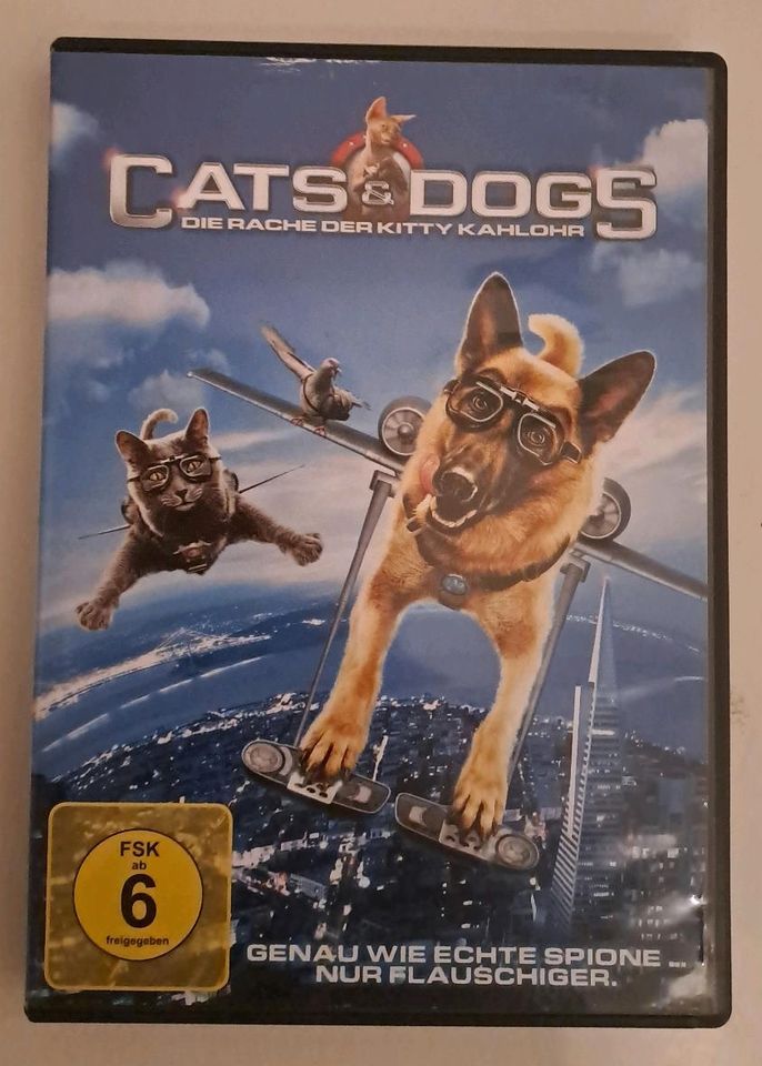 Film Cats and Dogs in Varel