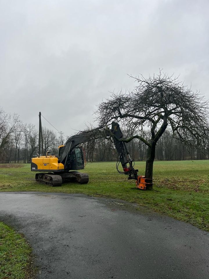 Axer Greifersäge(kein Woodcracker,Vosch)Fällgreifer in Roxel