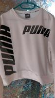 Puma Sweatshirt S weiß Brandenburg - Bad Freienwalde Vorschau