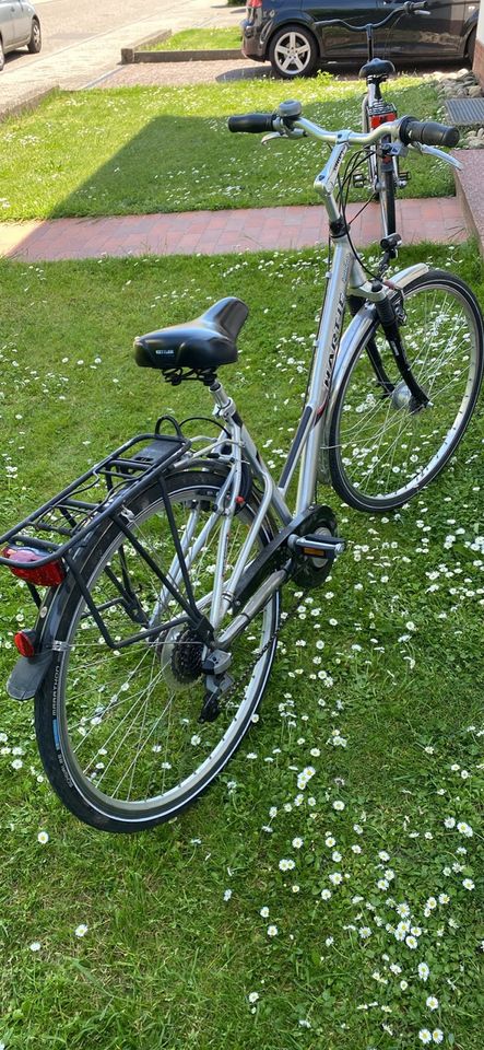 Damen Fahrrad in Speyer