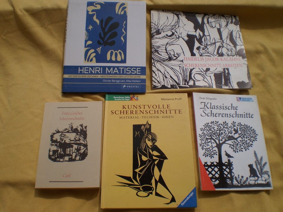 Buch Bücher Fachbuch Scherenschnitte Matisse u.a. in Leipzig