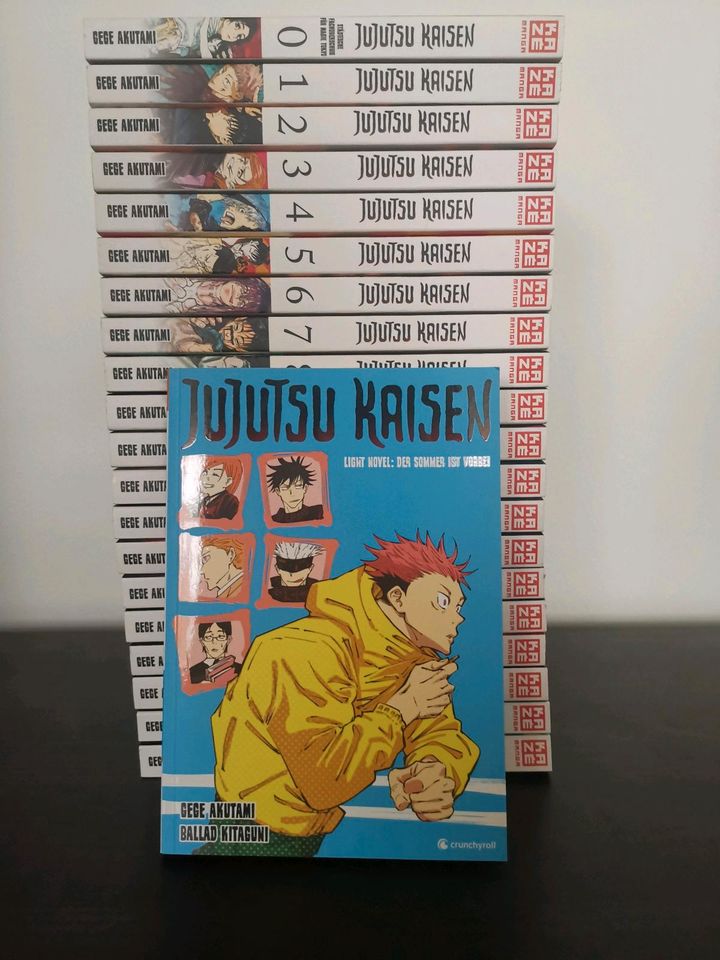 Jujutsu Kaisen Manga (Band 0-19) und Light Novels in Rathenow