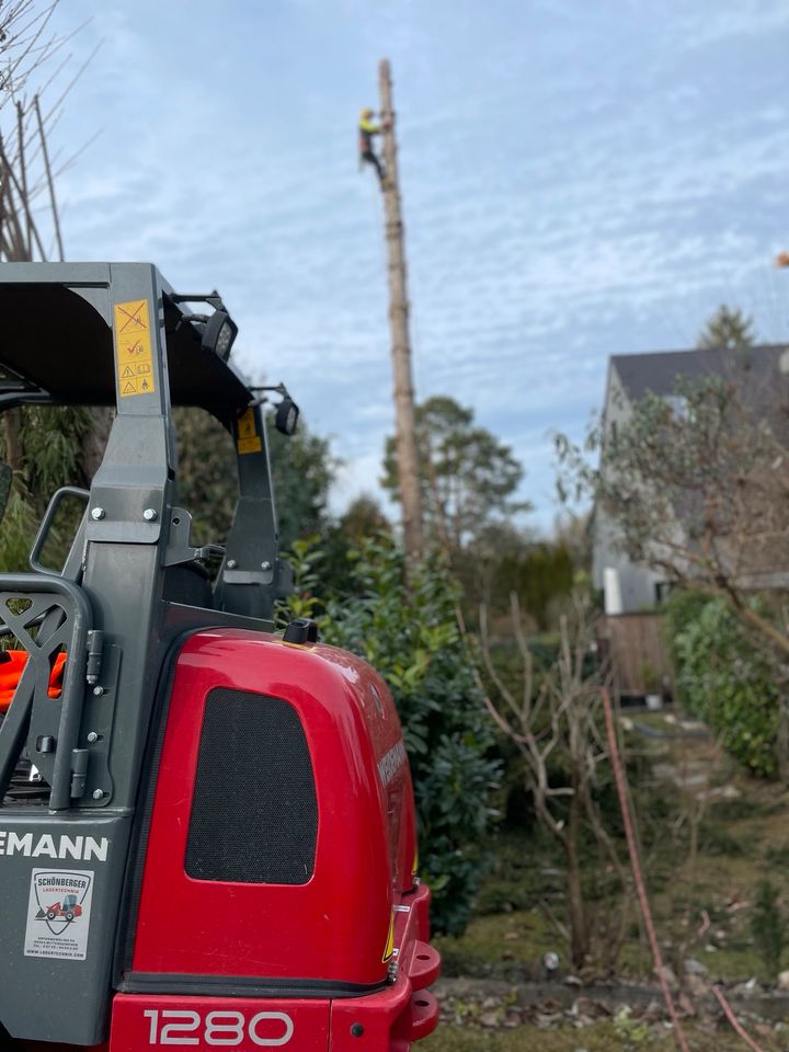 Problembaumfällung Forstservice Gartenservice Baumfällung in Leiblfing