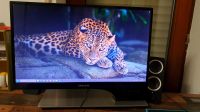 Samsung SyncMaster 3D Fernseher 27 Zoll PC Monitor mit TV-Tuner Baden-Württemberg - Bruchsal Vorschau