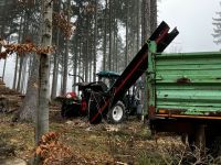 ❗️ Lohnspalten Sägespaltautomat Brennholzaufarbeitung Holzspalten Sachsen - Treuen Vorschau