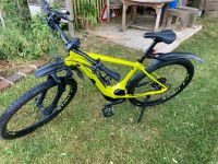 SPECIALIZED TURBO  LEVO HT COMP- Hyper L Baden-Württemberg - Deckenpfronn Vorschau