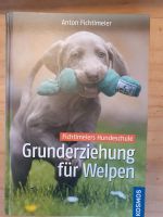 Grunderziehung für Welpen, fichtlmeier Bayern - Andechs Vorschau