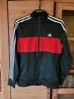 Adidas Trainingsjacke Größe 164 Thüringen - Großrudestedt Vorschau