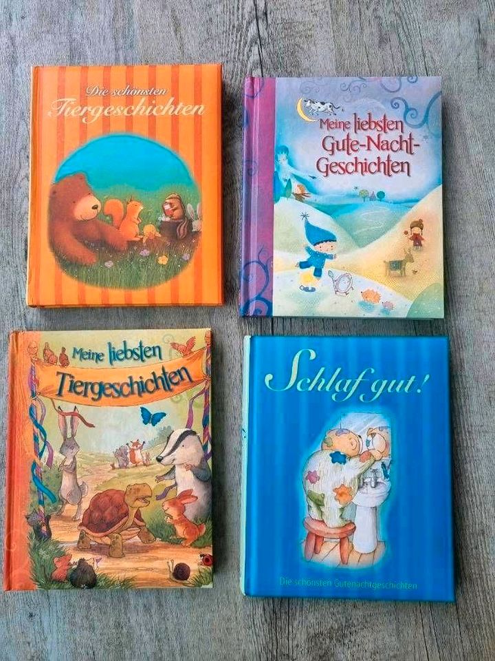 Div. Kinderbücher (Hexe Lilli, Barbie, Rabe Socke, Nele .. in Hannover
