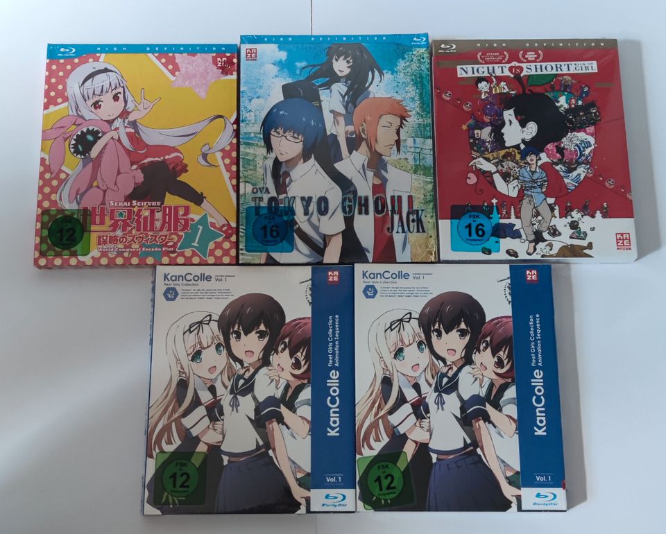 Anime DVD / Blue Ray in Salzhausen