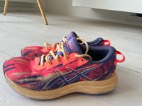 Asics NOOSA Laufschuhe Größe 37 Sachsen - Klipphausen Vorschau