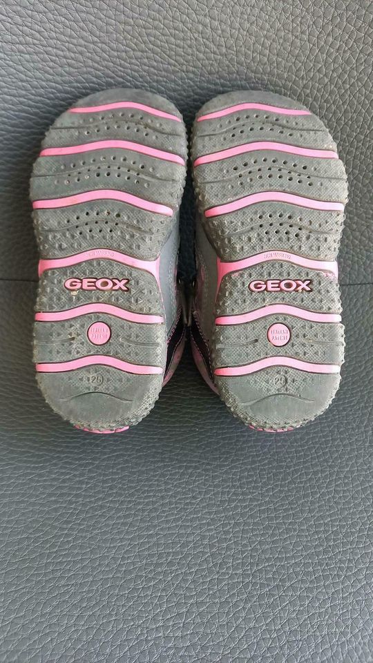 Geox original Straßenschuhe Outdoorschuhe, Gr. 25 in Großenlüder