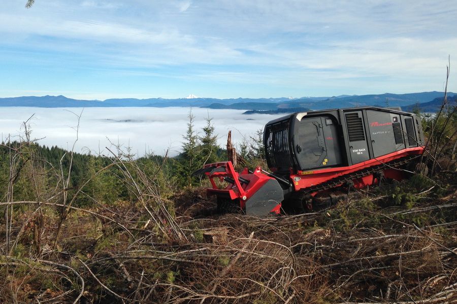 PRINOTH AHWI Raptor 800 Raupenträgerfahrzeug mit Forstmulcher in Schmallenberg