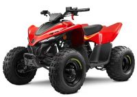 CFMOTO CFORCE 110, ATV/QUAD Kinderquad Bayern - Wackersberg Vorschau