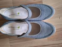 Waldläufer orthotritt Bayern - Kleinostheim Vorschau