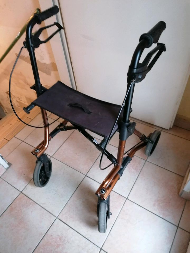 Rollator - Gehilfe in Gelsenkirchen