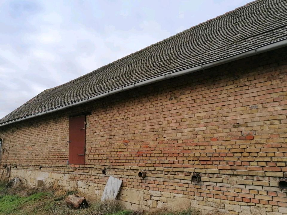 Bauernhaus mit Nebengelass lädt zum Träumen ein in Freyburg (Unstrut)