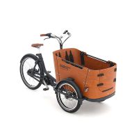 Babboe Go Mountain Lastenrad Dreirad Transportrad Yamaha E Bike Niedersachsen - Uelsen Vorschau