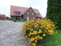 Maisonette in Nordhorn/Brandlecht Niedersachsen - Nordhorn Vorschau