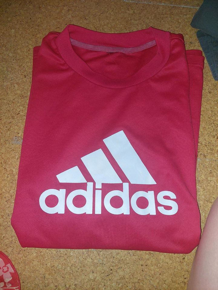 Herren Adidas Tshirt in Mönchengladbach