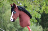 Braunes Hobby horse A4 Rheinland-Pfalz - Nassau Vorschau