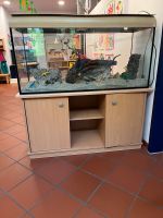 Aquarium mit Unterschrank Nordrhein-Westfalen - Overath Vorschau