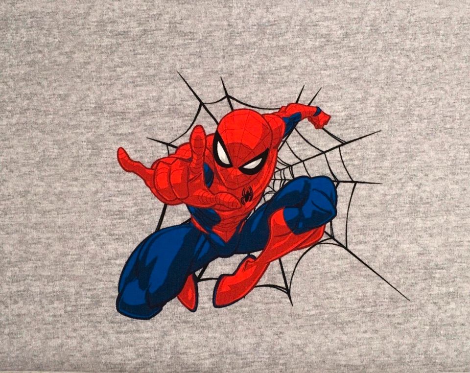 Jersey Panel Stoff Spiderman ca.B49xL28 cm 7 Euro in Duisburg